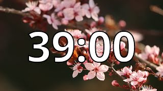 39 Minutes Timer with Music | Cherry Blossom Timer