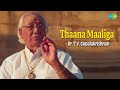 Thaana Maaliga |  Dr. T.V. Gopalakrishnan | Carnatic Music | Ragas