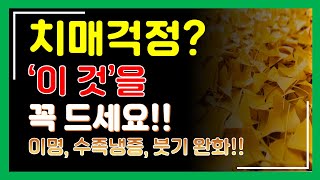 치매가 걱정되시나요? 예방에 도움이 되는 '이것'(혈행개선, 기억력 개선,이명,붓기완화)