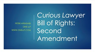 The Curious Lawyer: Bill of Rights -- The Second Amendment