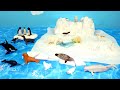 Fun Arctic and Antarctica Animal Figurines and Diorama - Learn Animal Names