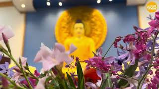 Buddha Statue (Mahamevnawa Monastery - Matale)