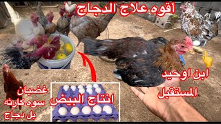 طلعت الفقاسه🙉المتابعين😊 جابولي بيض🥚اخضيري 🦆بري شوفو انتاج البيض🥚فحصت بيض الشمسيه🐔كارثه😱