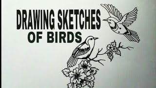 Playtube Pk Ultimate Video Sharing Website