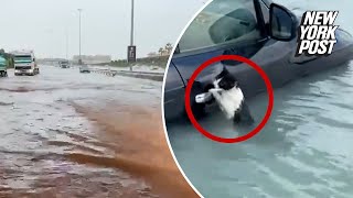 Storm dumps year and a half’s worth of rain in hours in UAE, flooding roads and Dubai’s airport