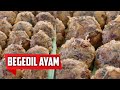 Cara Buat Bergedil Ayam Mudah Dan Sedap Cuma 4 Bahan Asas #Bergedilayam #bergedil