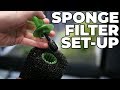 How To Set Up A Sponge Filter