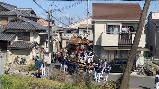 狭山 前田だんじり入魂式お披露目曳行 令和5年3月19日