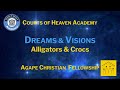 Dreams & Visions - Alligators & Crocs