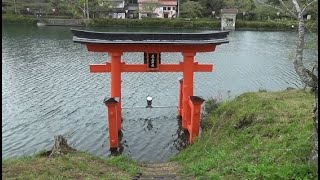 桜が散った後の上野公園　（庄原市 2023.4.16)