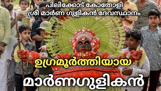 ഉഗ്രമൂർത്തിയായ ശ്രീ മാർണഗുളികൻ/പിലിക്കോട് കോതോളി ശ്രീ മാർണ ഗുളികൻ ദേവസ്ഥാനം /കളിയാട്ടം 2024