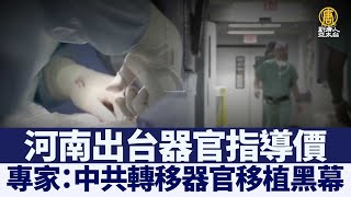 河南出台器官指導價 專家：轉移視線｜@ChinaBreakingNewsTV ｜20211104