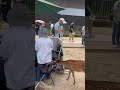 海外の反応 採餌の成功 鹿がおせんべいを見つけて食べる 日本鹿公園 日本の動物 鹿 nara deer park japan japan naradeer