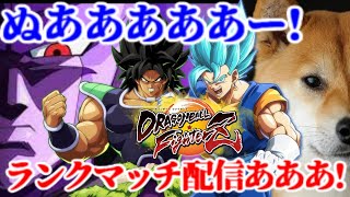 ドラゴンボールファイターズ 戦闘民族犬のランクマッチ!【DBFZ Dragon Ball FighterZ】