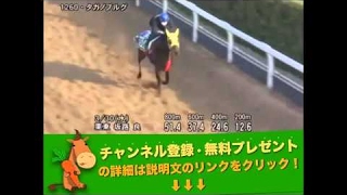 ダービー卿チャレンジトロフィー（GIII） タガノブルグ調教動画　「競馬レース結果ハイライト」2016年