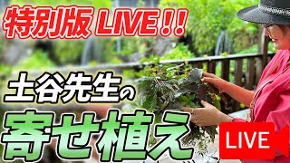 《生配信！》4月19日 土谷先生の寄せ植えをLIVEにてご紹介！八王子本店からお届けします！