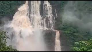 Mayurbhanj Similipal 🐅 .... Barehipani Waterfall 🤩🕊️ (Whatsapp Status ) ❤️