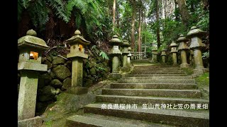 奈良県桜井市　笠山荒神社と笠の蕎麦畑　写真紀行　2023