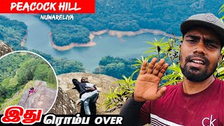 Nuwareliya | Peacock Hill 🔥| pussellawa | Sri lanka | #sltamilvlogs #hiking