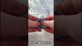 숏츠 조회수 올리고 싶다면! 반드시 보세요!! #shorts