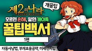 [제2의 나라] 모르면 손해! 알면 개이득! 꿀팁백서! 시청자분들이 가장 많이 물어보는 것들 1편