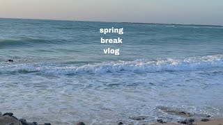 spring break vlog | back at home 🇦🇪