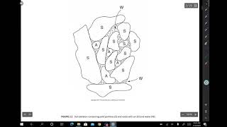 3.1 Phase Relationships