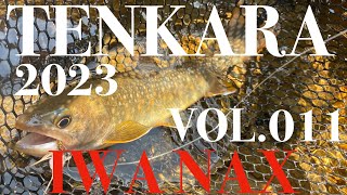 HIDA TENKARA FLY FISHING 飛騨テンカラ 2023　Vol.011 IWANAX