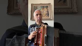 Quatrième Ornement double de la Gigue du Père Mathias #lygeros #music #accordion