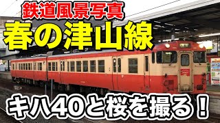 【桜満開】津山線のキハ40やキハ47を撮影する！国鉄急行色ノスタルジーもやってくる！