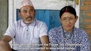 Satisfied farmers at Tinjure Tea Cooperative in Nepal