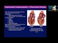 HFpEF Phenotypes: HoCM and Cardiac Amyloidosis in 2023