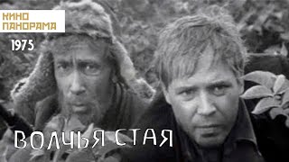 Волчья стая (1975 год) драма