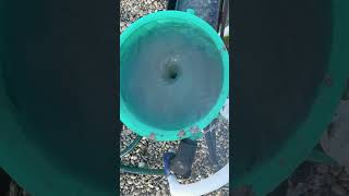 You Spin Me Round -  Goldprospecting 3d printed Blue Bowl - Adventure Sluice - Goldwaschen