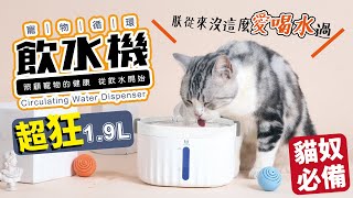 【驛森町】寵物循環飲水機｜貓奴必買｜貓貓狗狗都愛喝