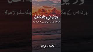 Beautiful Quran Surah Al-Fajr Crying Recitation Most Emotional Quran Recitation#quran#islamic#short