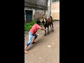 eid ul azha 2021 special qurbani bakra 🐐vs boy fight ✊ eidulazha2021 shorts