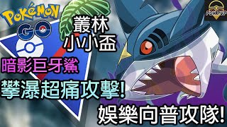 【Pokemon GO PVP】暗影巨牙鯊 攀瀑超痛攻擊 娛樂向普攻隊 | Pokemon GO | 叢林小小盃 | JUNGLE LITTLE CUP | POK PVP