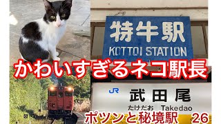 山陰の難読秘境駅「特牛」と大阪近郊の秘境駅「武田尾」に行ってきました　　#ネコ　#無人駅　#古い建物