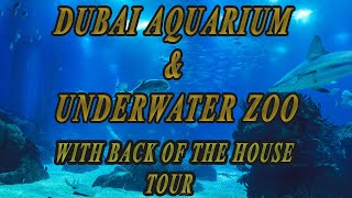 Dubai Aquarium & Under Water Zoo | With Behind The Scenes Tour