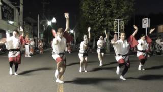 びっくり連☆新・狭山阿波踊り大会2016