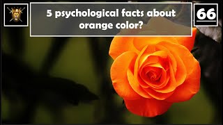 Unlocking the Power: 5 Fascinating Psychological Insights into Orange Color | Suyash Bajpai