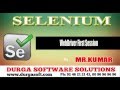 Selenium || WebDriver First Session
