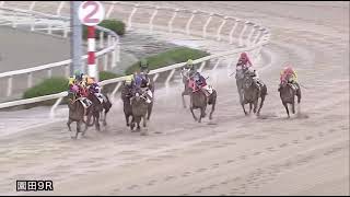 Stormy Storm (IRE) wins race 9 at Sonoda 10/21/2020