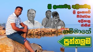 Gammane Epi 15 Puththalama | ගම්මානේ පුත්තලම අප්‍රිකාවෙන් ආ ඔවුන්