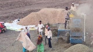 ખેતર માં ફૂટ્યા ફટકિયા