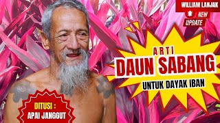 🔴 ARTI DAUN SABANG  DITUSI APAI JANGGUT BANDI ANAK RAGAI DAYAK IBAN #daunsabang #iban #sungaiutik