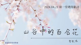 2024.04.21大眾傳播奉獻主日第一堂禮拜獻詩-山谷中百合花-聖歌隊