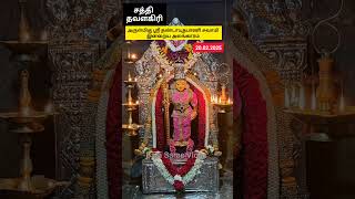 சத்தி தவளகிரி முருகன்  இன்றைய அலங்காரம் 20.02.2025