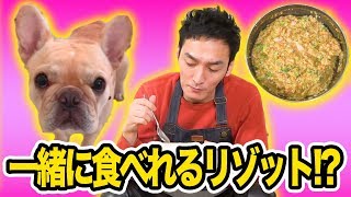 【料理】クルチューバー大興奮！ワンちゃんと一緒に食べれるリゾットを作ります！